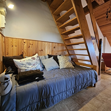 Le Gabelou - Studio mezzanine en résidence - P422FRA00