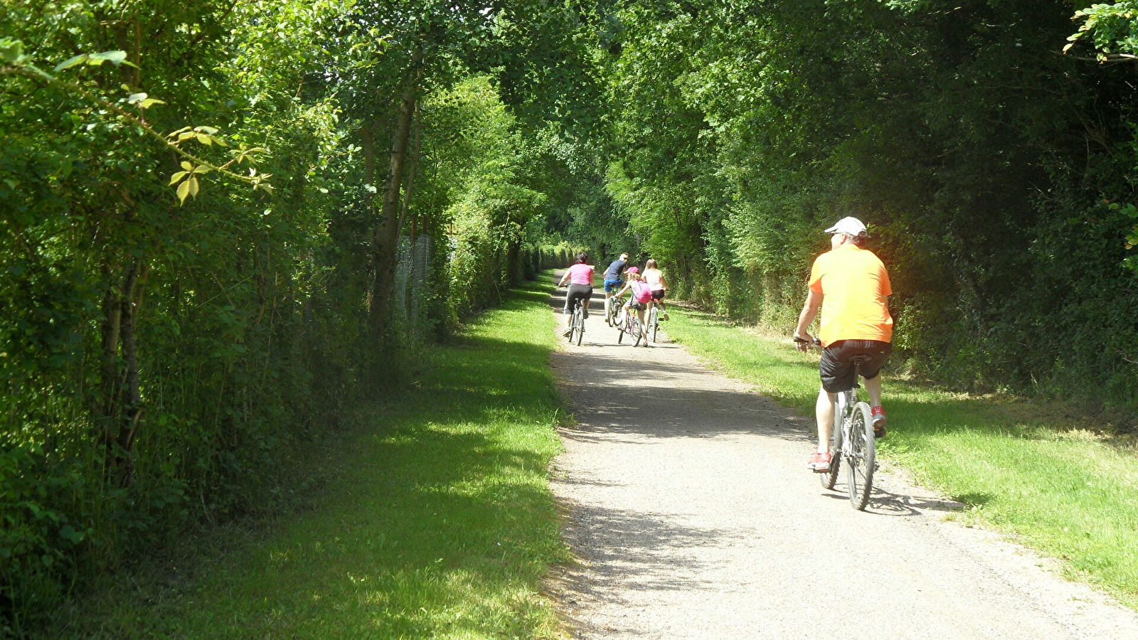 Decize - La Machine par l'étang Grénetier