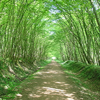 Decize - La Machine par l'étang Grenetier - DECIZE (58300)
