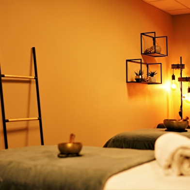 Hôtel Mercure Belfort Centre & Spa