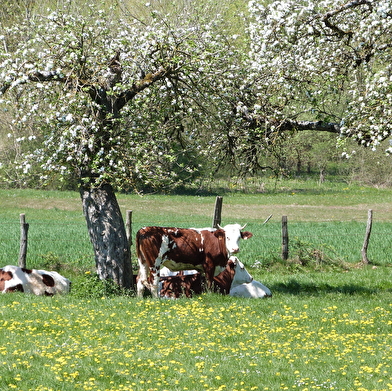 Étang de Verne - n° 69
