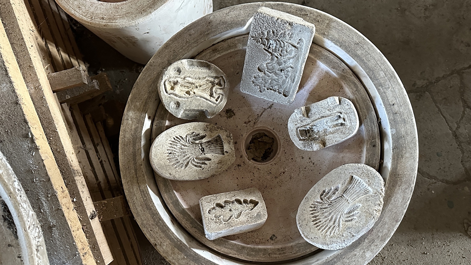 À l'écomusée pour m'amuser ! Atelier avec l'artiste Harmonie Begon