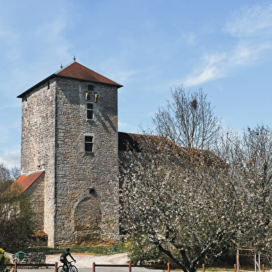 St Vit-fait Bien fait