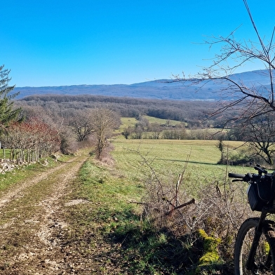 Circuit VTT n°22 (bleu) - Forêt de Bohas et du Vieudrin