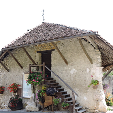 Circuit vélo : Lacs et vignes