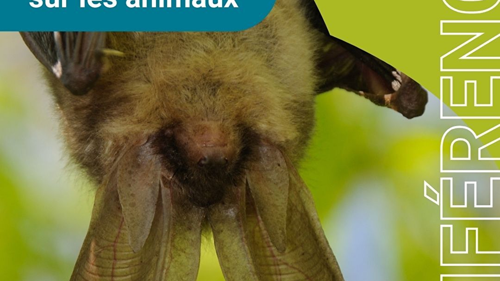 Club nature adulte 'déconstruire nos idées reçues sur les animaux'