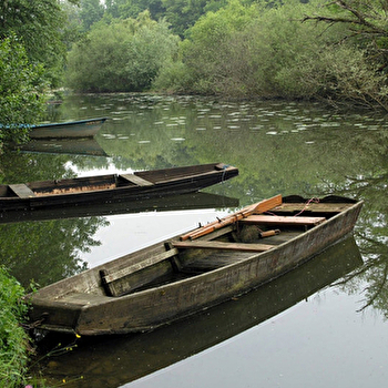 Sentier de Palise - PALISE