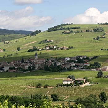 Circuit du Mont Fetraud - JULIENAS