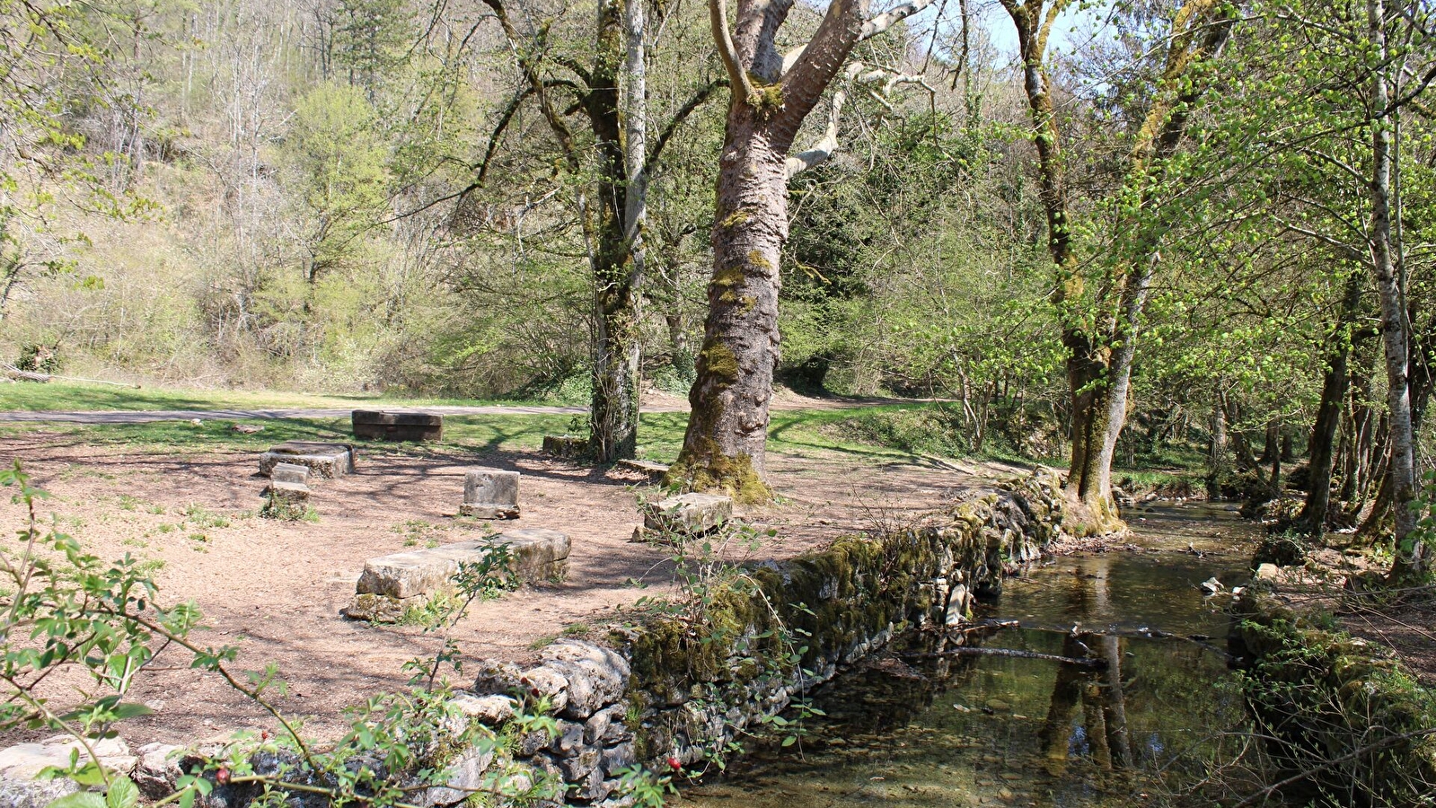 Aire de pique-nique d'Arcenant 