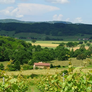 Domaine du Mont Epin