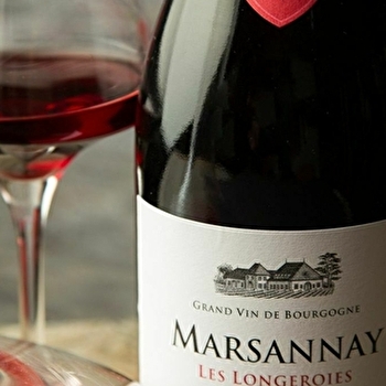 Dégustation Climat de Bourgogne au Château de Marsannay - MARSANNAY-LA-COTE