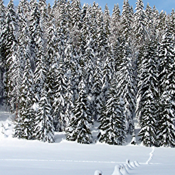 Site Nordique de La Cernay Blanche - LA CHAUX