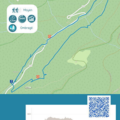 RANDONNÉE - LA RONDE DE LA FORET DOMANIALE DE