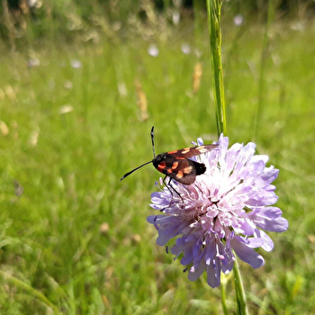 Tour des Landes - GENNES