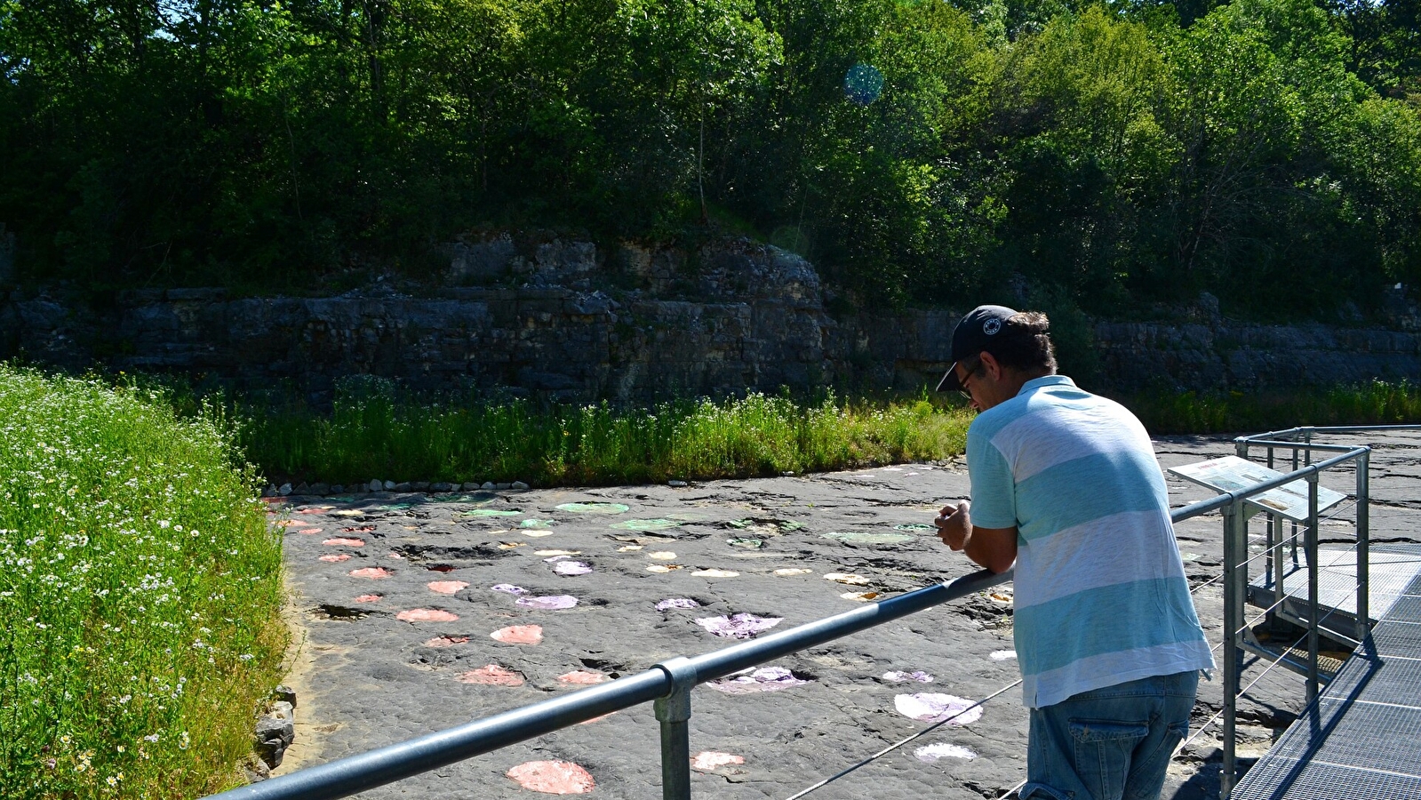 A la trace des Dinosaures