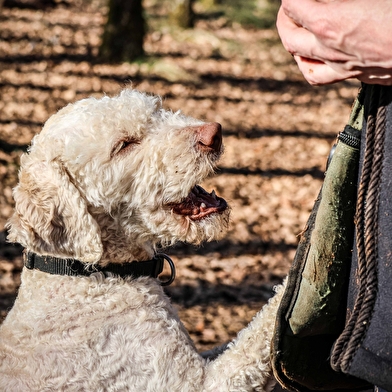 Maison aux Mille Truffes