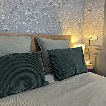 Le Logis des Pinces Maillées - MONTECHEROUX