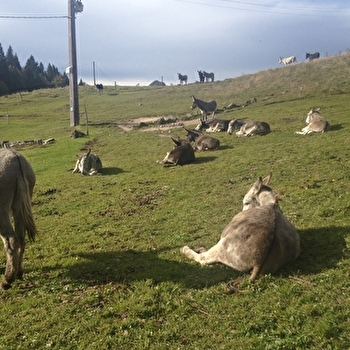 Vu d'en Haut - LA PESSE