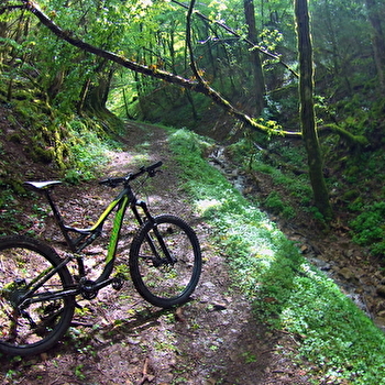 Circuit VTT n°4 (rouge) - Forêt et contreforts du Revermont - VAL-REVERMONT