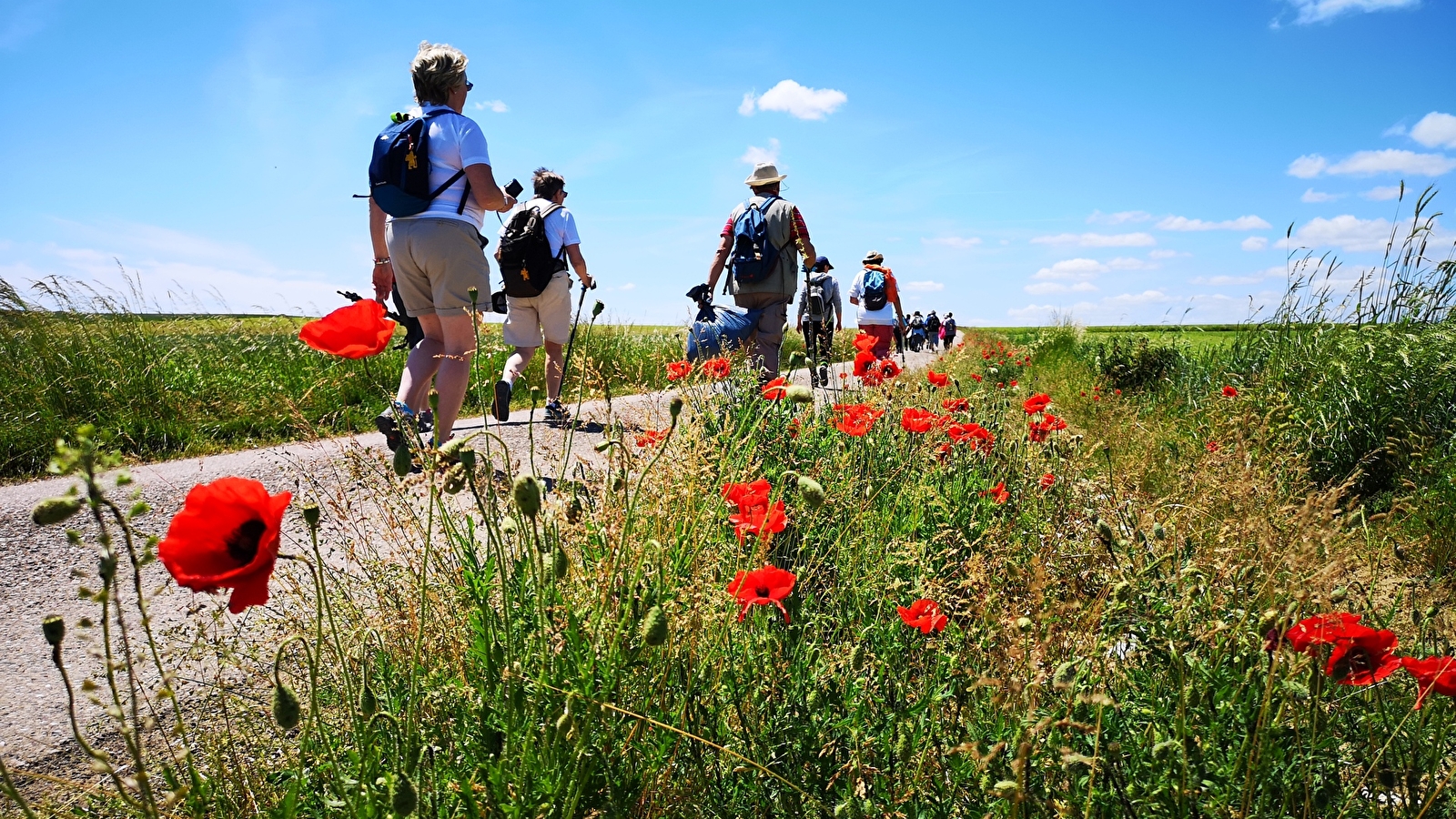 Via Francigena Canterbury-Rome en Haute-Saône