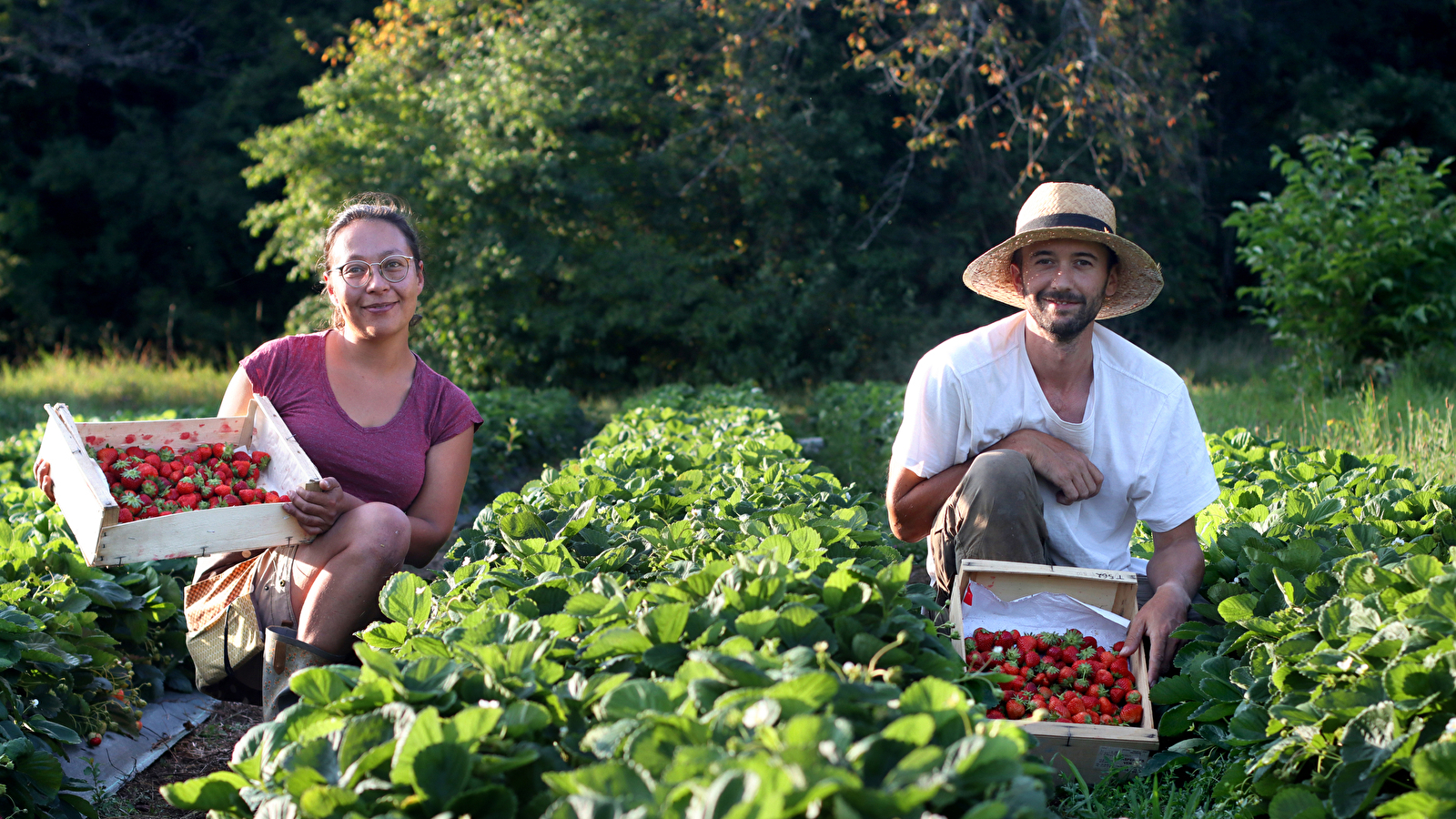 Visite d'une exploitation de fruits bio - Le Champ des Gourmands