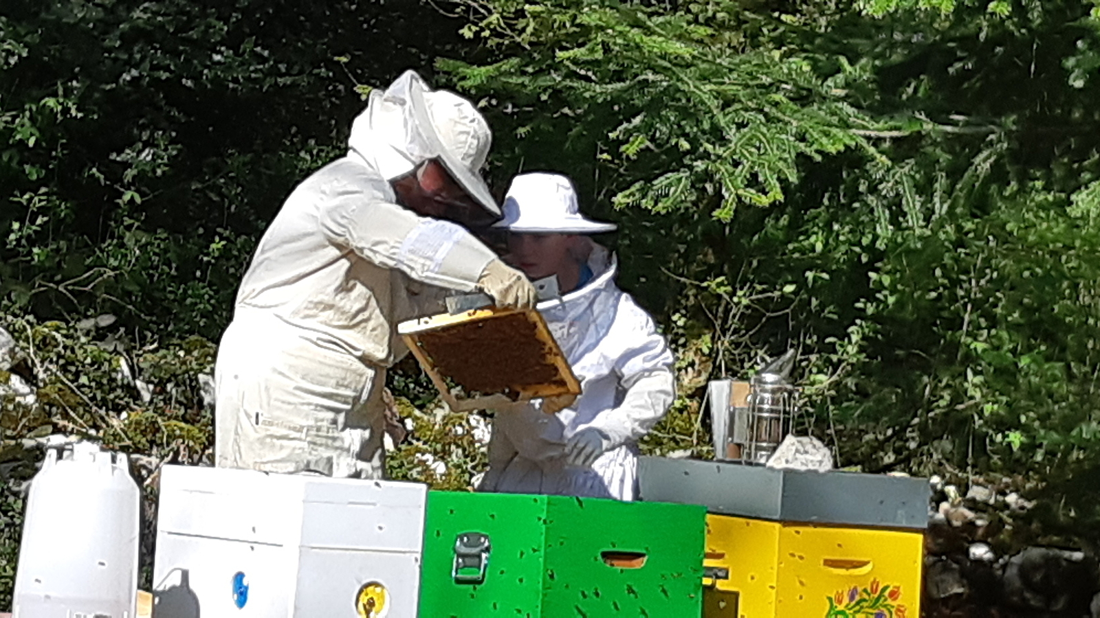 Immersion au rucher, Le Rucher de Pascale