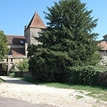 Chemin des Grands Crus - DIJON