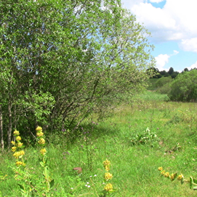 Circuit de découverte du lac des Rouges Truites