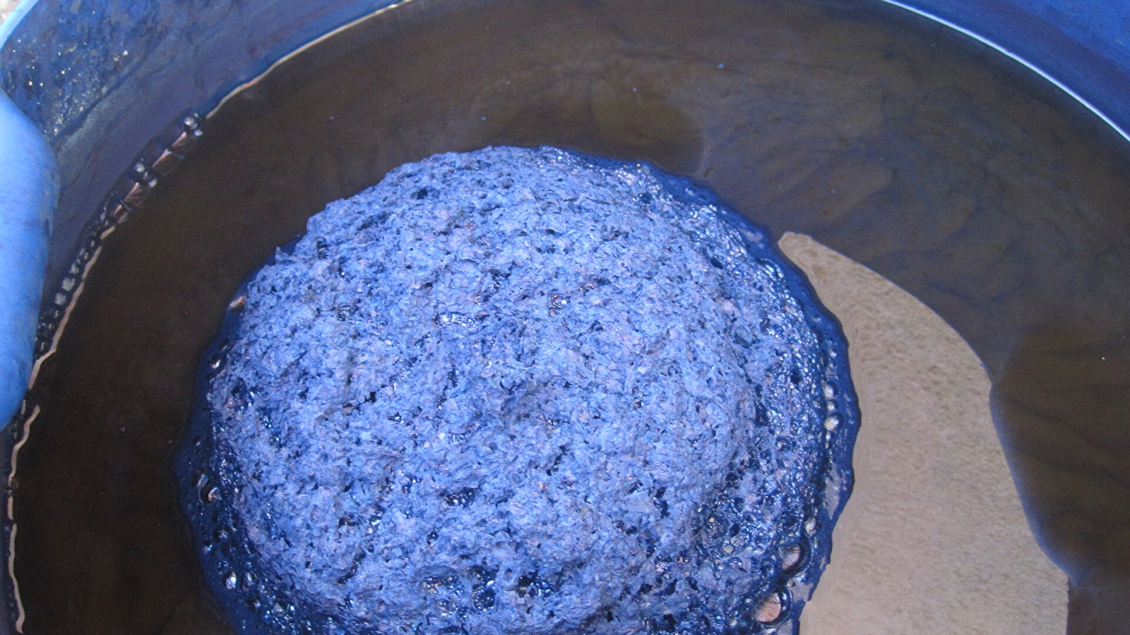 Stage de Teinture Naturelle : Le bleu Indigo