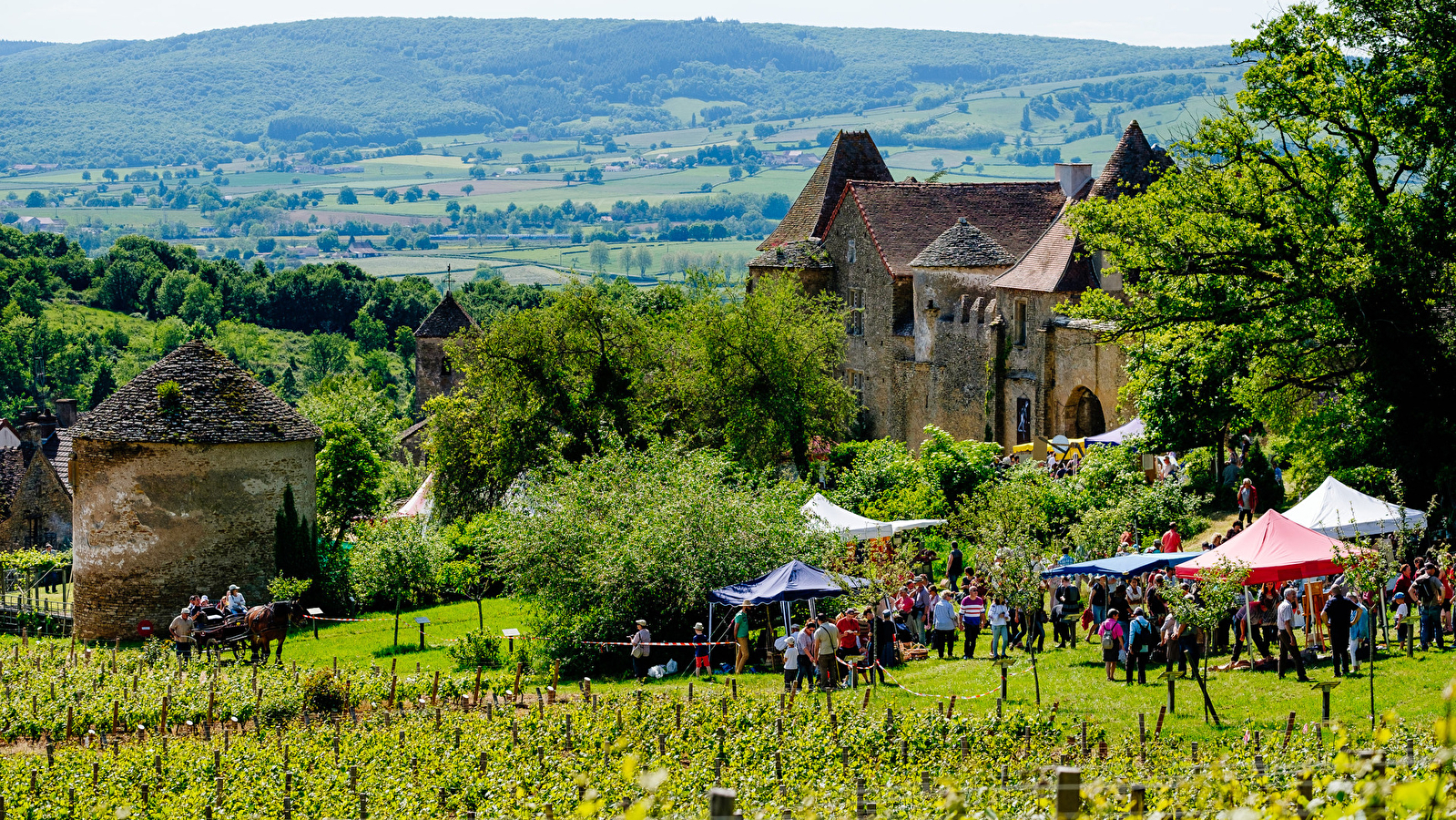 Château Pontus de Tyard