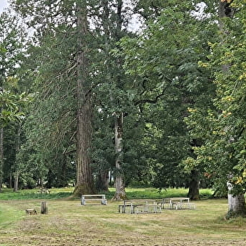 Aires de pique-nique Parc de Vendenesse - VENDENESSE-SUR-ARROUX
