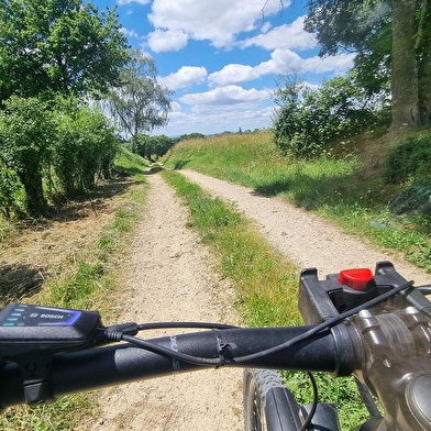 Circuit VTT n°10 - Lé prô, lé beû de Foissiat-Etrez (prés et bois)