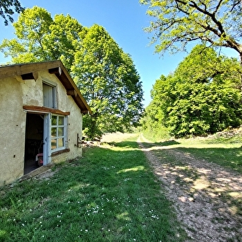 VTT dans les Monts de Gy : Circuit 55 'Tour des Bois de Plumont ' - GY