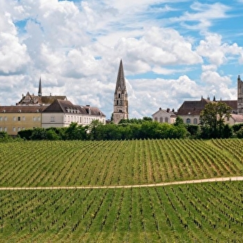 Visite guidée - Clos de la Chainette - AUXERRE