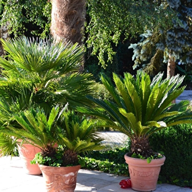 Jardin de la Renaudière