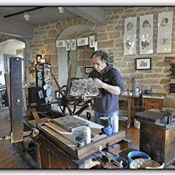 La pierre qui encre - ARBOIS