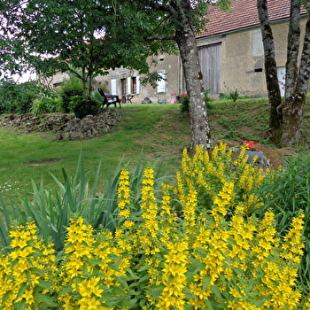 La maison de Marie - CERVON