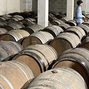 Domaine Vapillon - LONS-LE-SAUNIER