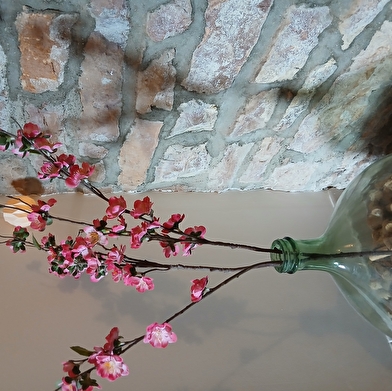 Chambre d'Hôtes Hamac et Potager