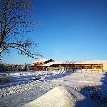 Centre équestre - Des Chevaux de la Combe - FRASNE