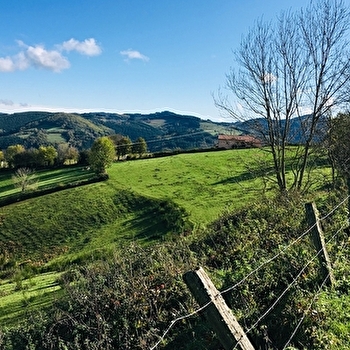 Circuit 31 Points de vues - SAINT-NIZIER-D'AZERGUES