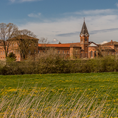 Circuit l'Ain à vélo - La Dombes aux mille étangs au départ de Villars les Dombes
