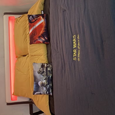 La diligence - Les Jedis et escape game 