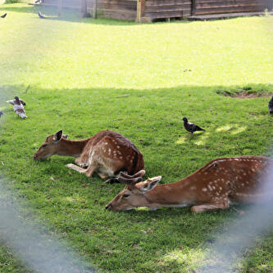 Parc de la Colombière