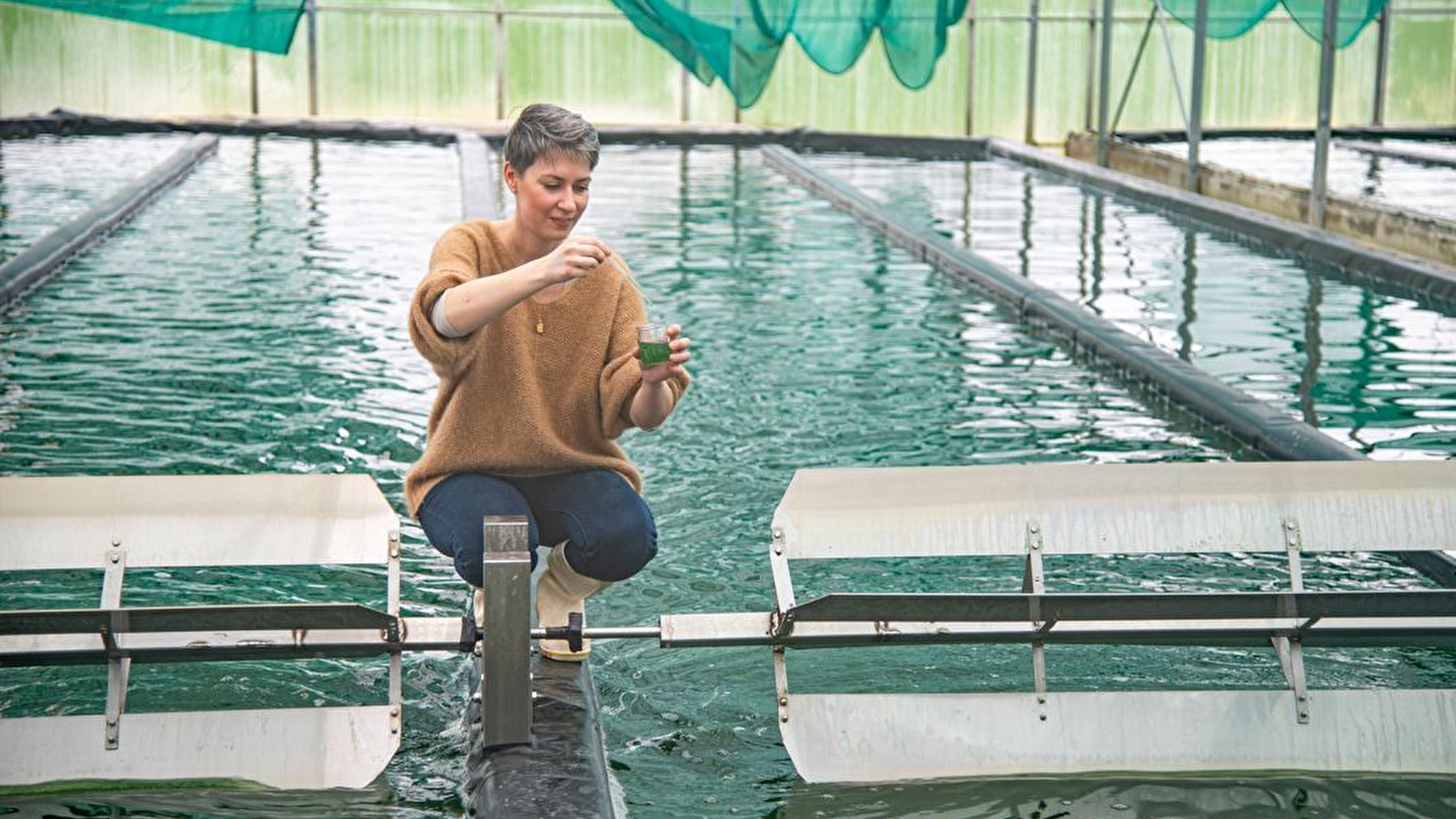 La Spiruline du Doubs