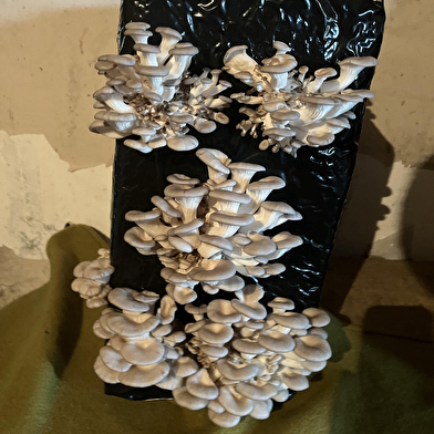 O'Saveurs de la nature