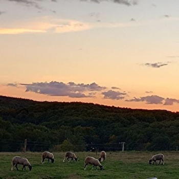Naturellement visite : Visite de la ferme d'Emilie et Damien DOUHARD - UXEAU