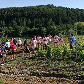 Enterrement de vie de célibataire ou anniversaire surprise -