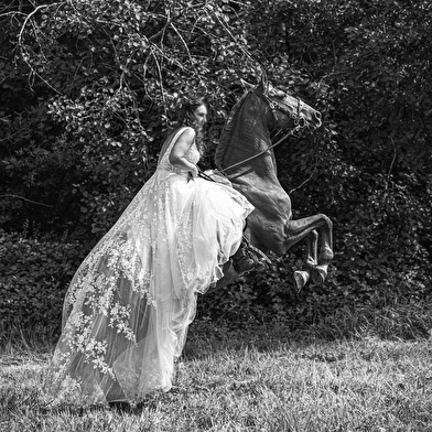 Fabien ZUDDAS photographe