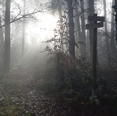 Falaise de Chatillon - Maquis de l'Ain, camp de Chalours